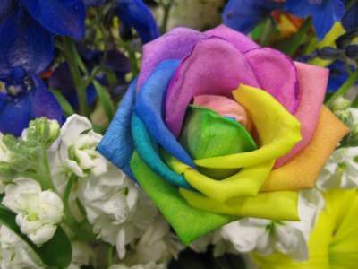 rainbow+rose+happy+roses.jpg