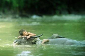 279588_bd89a1d48d76c5d0f6b6b5648867677e_large1